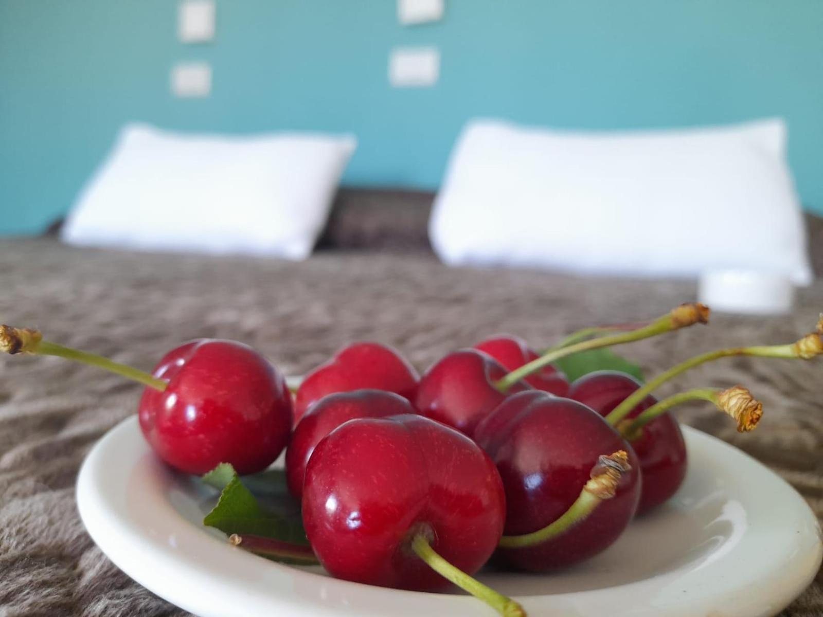 Hotel Antiguos